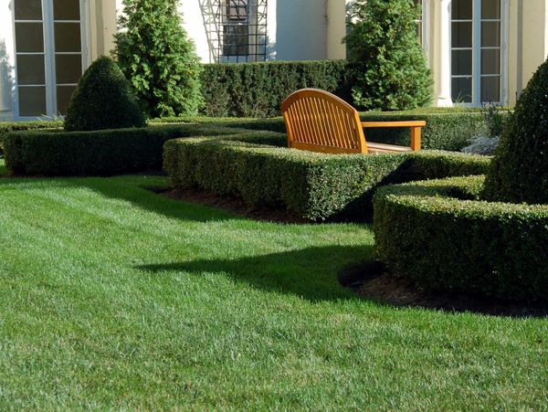 Manicured garden with trimmed hedges and a wooden bench in sunlight.