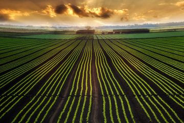 image1497