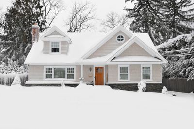 house and yard covered in snow: trees