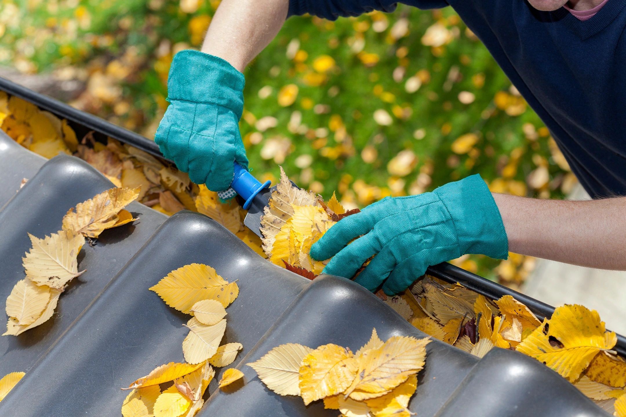 how-to-choose-the-best-gutter-cleaning-service