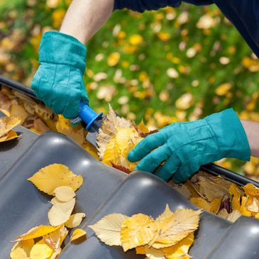 We clean your seamless gutters.