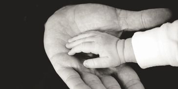 Adult hand holding a baby's hand gently.