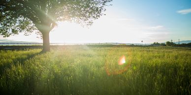 Outdoor areas are also used for in-home personal training with an in home personal trainer