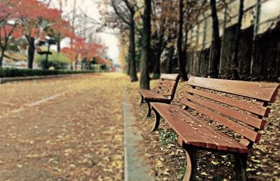 park benches