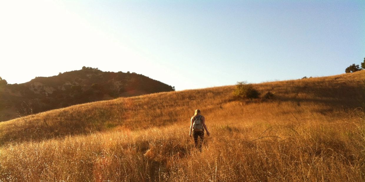 Person hiking up a sunlit grassy hill.