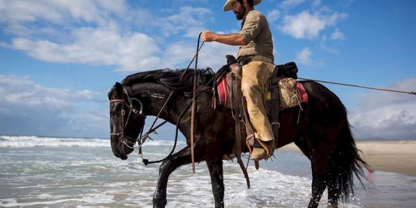 A man rides a black horse along the beach near the ocean.