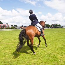 equestrian, dressage, horse rider, brown horse, botanica international, horse health, equine health