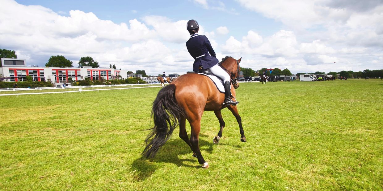 Jersey Equestrian Riding Organisations and Horse Riding Clubs