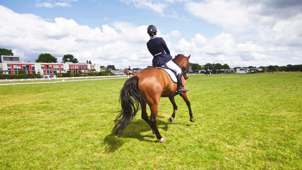 A rider on a brown horse in a grassy field under a partly cloudy sky.