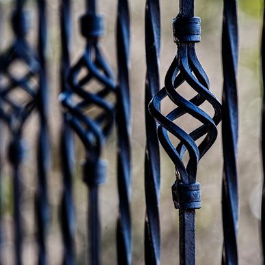 Photo of fancy iron fencing