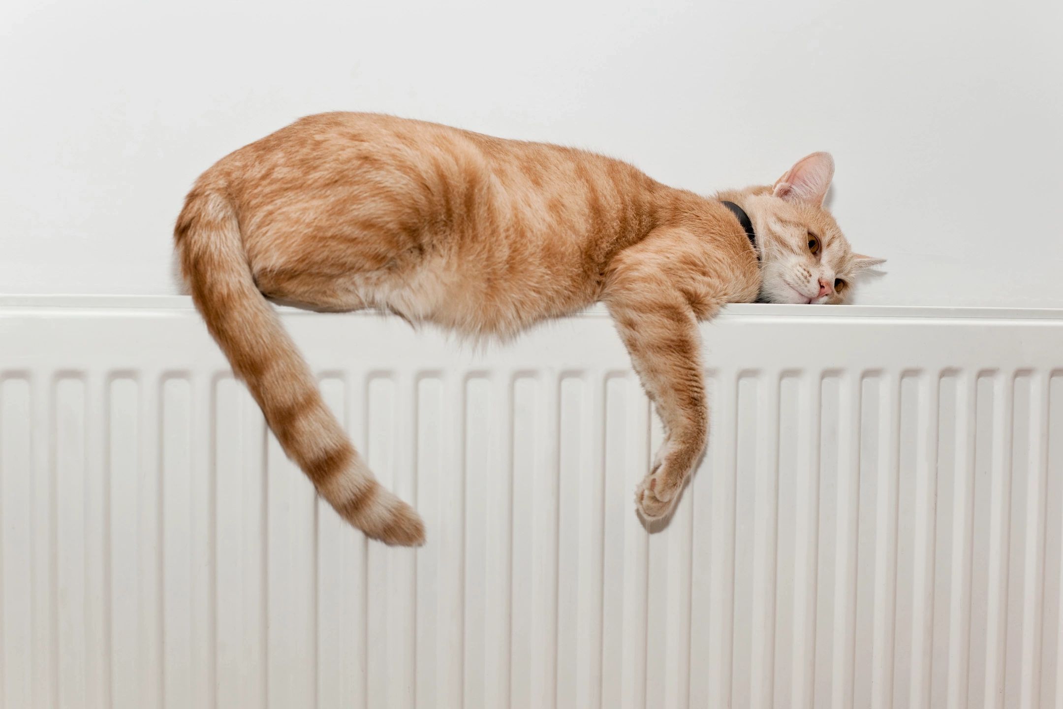 Greengenerationheating Furnace, Heat Pump, Oil Furnace