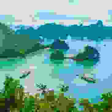 image273