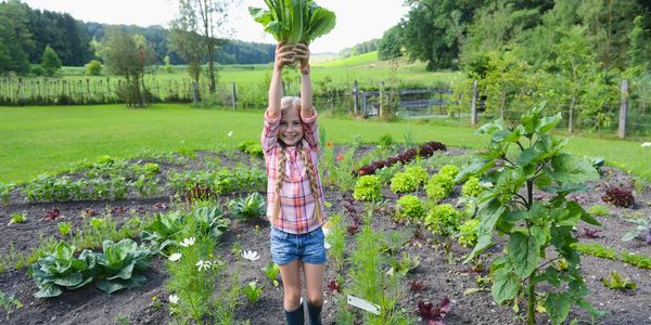 Growing your own food