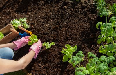 Gardening is fun and relaxing.