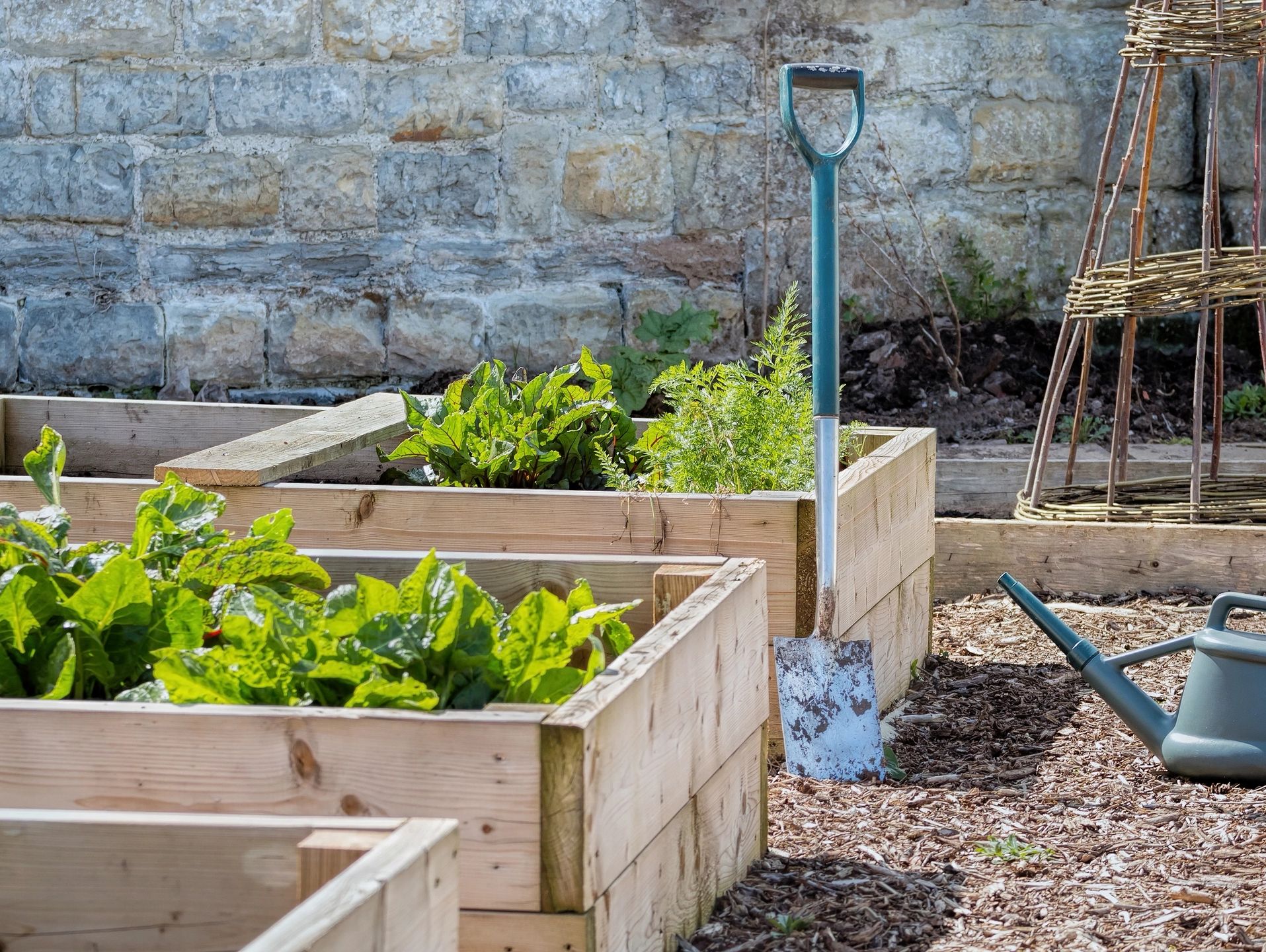 Raised garden beds with plants, a shovel, and a watering can
