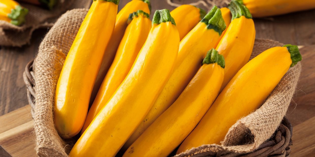 Fresh yellow zucchinis neatly arranged in a basket lined with burlap.