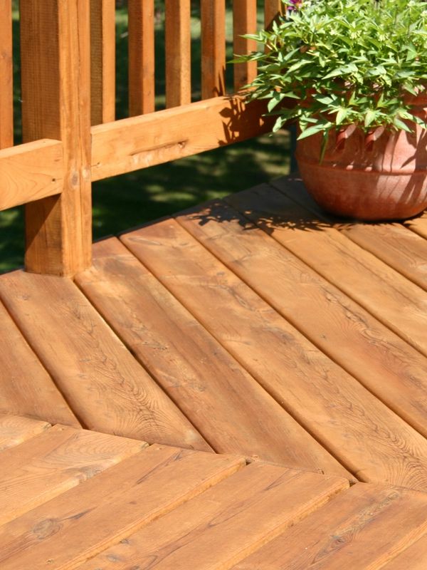 Sunlit wooden deck corner with potted plant on the railing.
