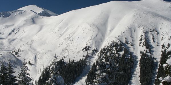 Snowy Mountain, Revelstoke, Snow, Trees