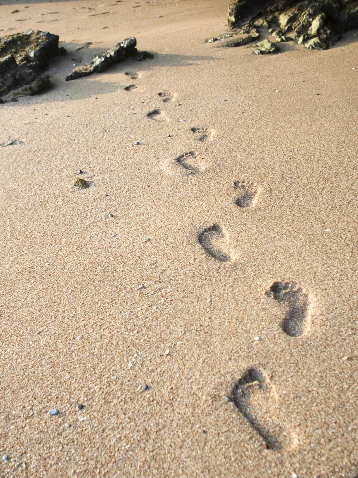 View of the footsteps in the sand on the display