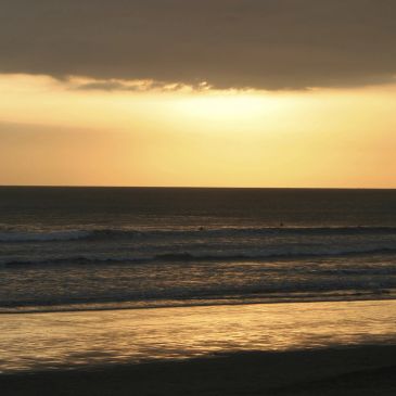 My grandmother a professional surfer after her retirement she wanted to teach people how to surf so 