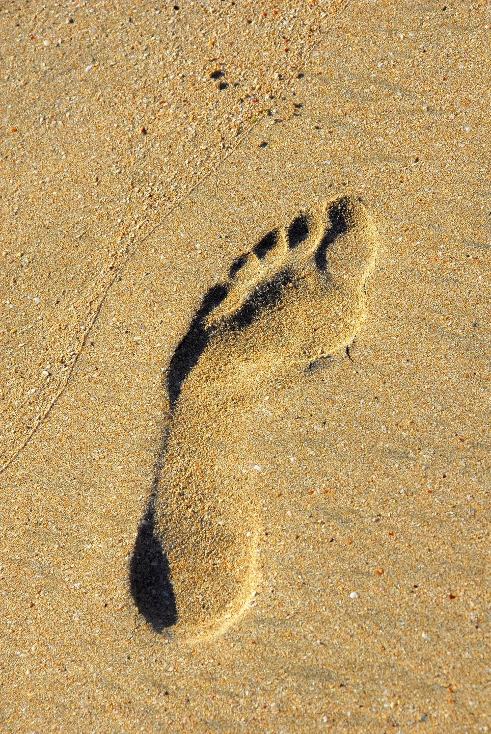 Foot Care, Ingrown Toenail At Your Feet Inc. Nursing Foot Care