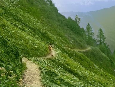 Person walking on a winding path through lush green mountains.