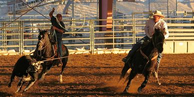 Two cowboys on horses chasing a bull in a rodeo arena.