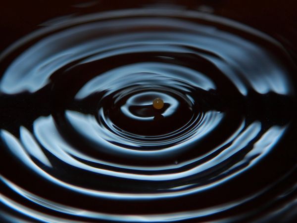 Close-up of a water droplet creating ripples on the surface.