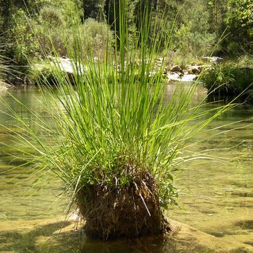 Bio retention specialist in Raleigh, North Carolina.