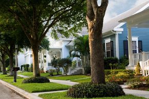 Neighborhood street lined with trees, sidewalk, front of houses with front porches.