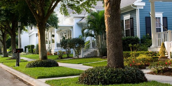Quiet neighborhood street with blue houses and trees.