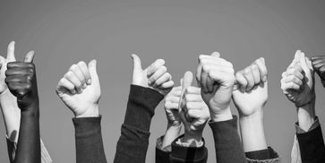 a diverse group of arms all with the thumbs up sign extending upward.