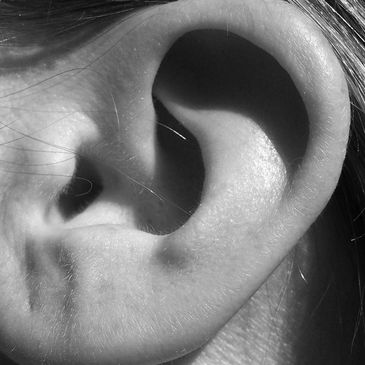 Ear