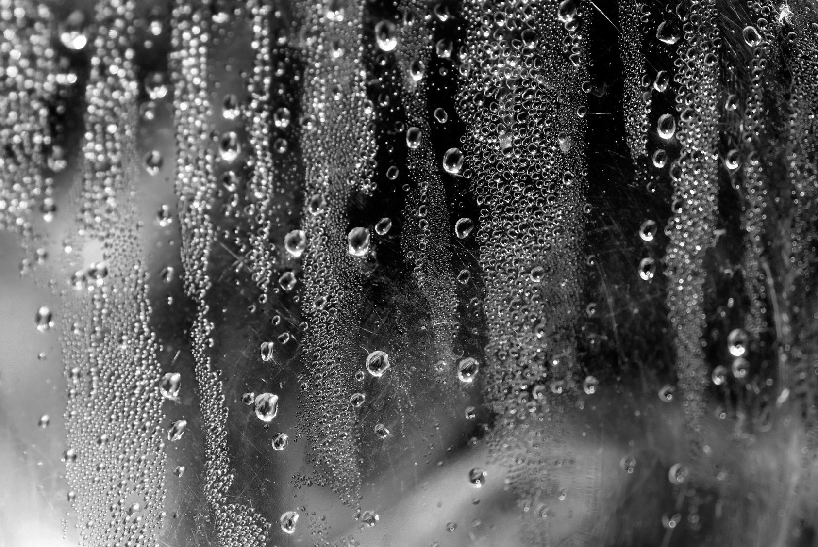 Emergency Water Clean Up