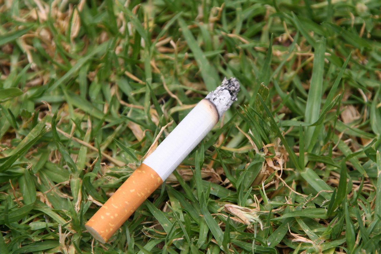 Smoking doesn’t make you stronger — it lowers testosterone, stamina, and vitality.