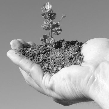 Personal development 