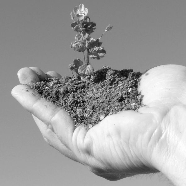 Personal development 