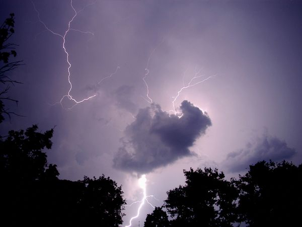 #DEBRISREMOVAL, #STORMCLEANUP, #HURRICANECLEANUP, 
#FORESTRYMULCHING, #TREE SERVICE, #LEONCOUNTY, #G