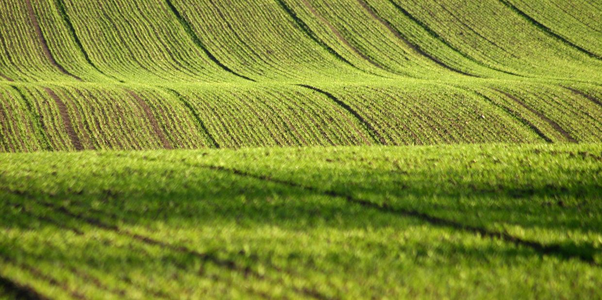 Suppliers of wearing parts to the agricultural and construction industries.