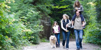 A family hiking with a trained dog
