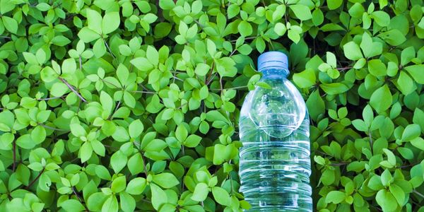 plastic bottle on leaves