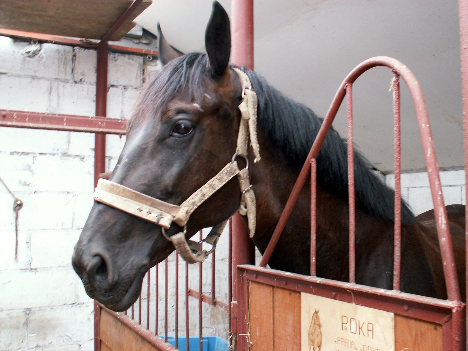HOW TO DEVELOP A HORSE BARN MANAGEMENT PLAN