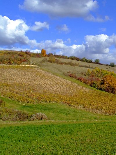 Rolling hills with autumn foliage under a partly cloudy sky.