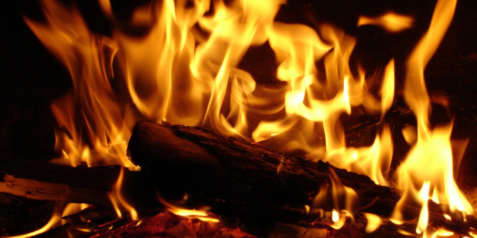 Fire Trauma in Redding