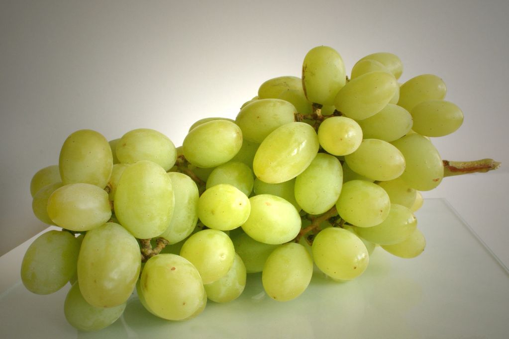 Sweet Grapes 