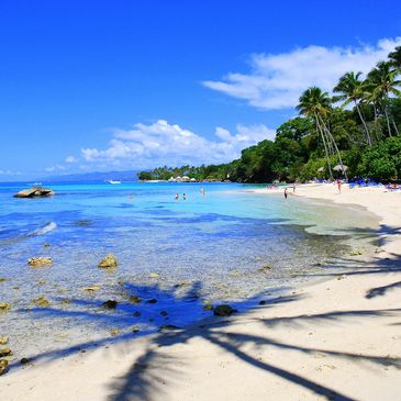 Galapagos Plant Based Travel