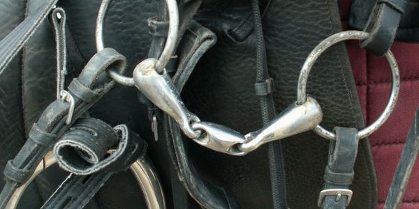 Close-up of a metal horse bit and black leather tack.