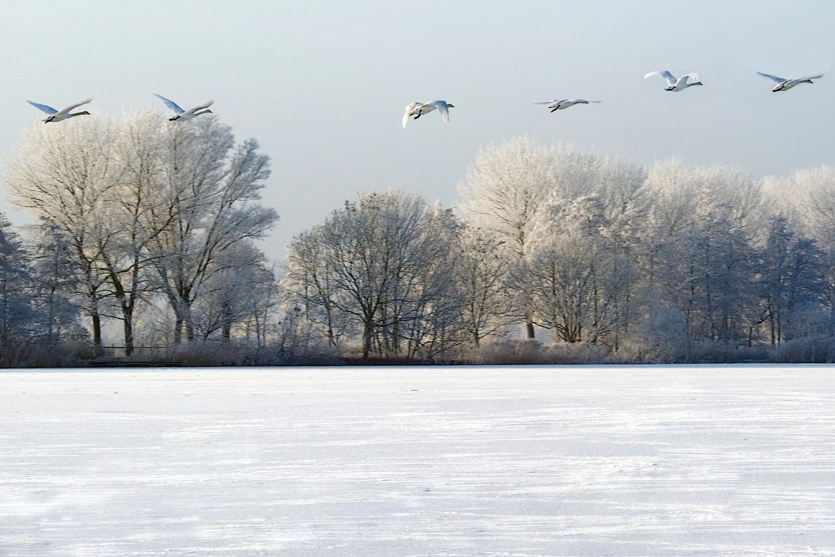 Weather in Three Lakes WI Overview of Local Climate and Forecasting Methods