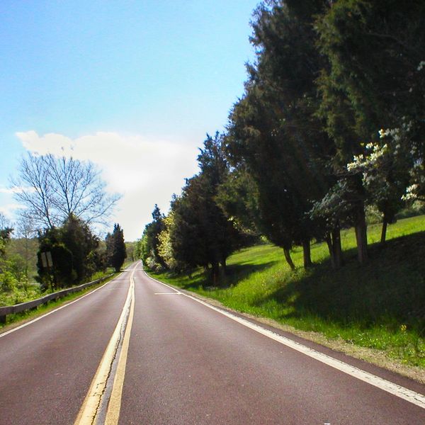 A clear, empty road flanked by trees under a bright blue sky.