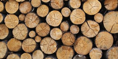 Stacked cut logs showing natural wood rings and cracks.